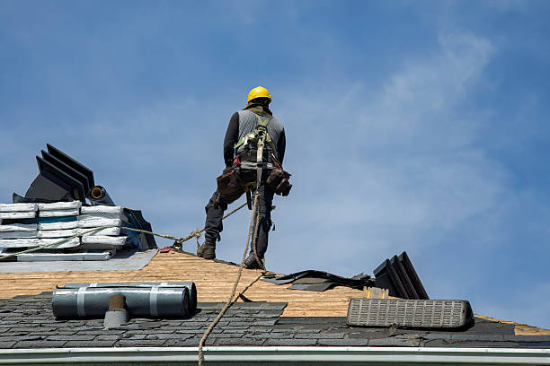 Professional Roof Replacement technician working in Beemer, NE